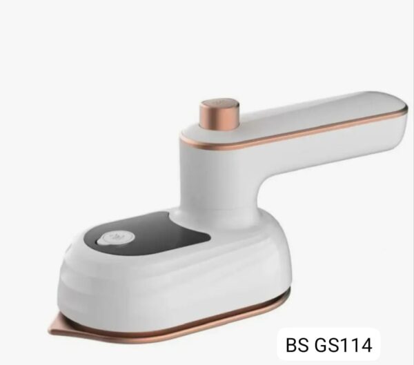 Vacuum Steam Iron
